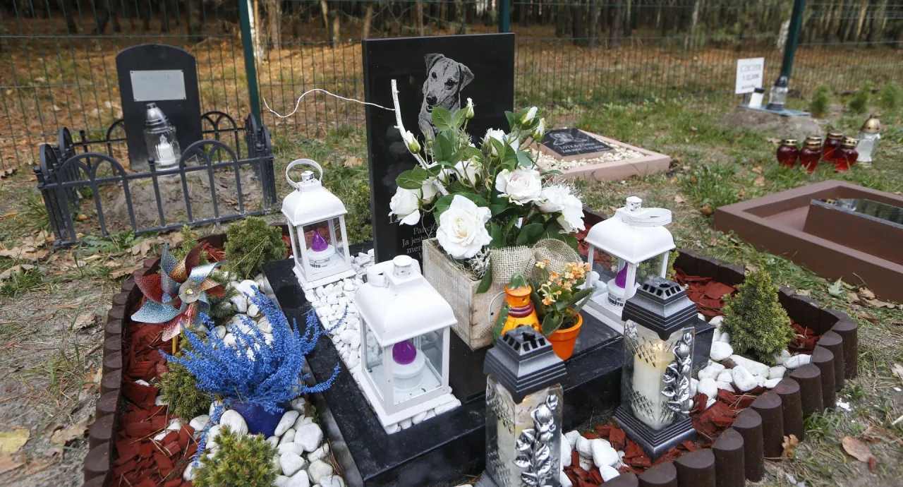 cmentarz dla zwierząt urny kremacja