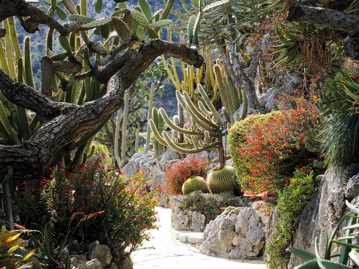 Jardin Exotique Monako