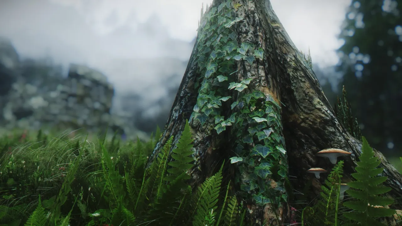 Skyrim mody graficzne