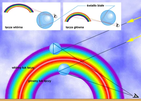 Jak powstaje tęcza dla dzieci, schemat rozszczepienia światła w kropli wody