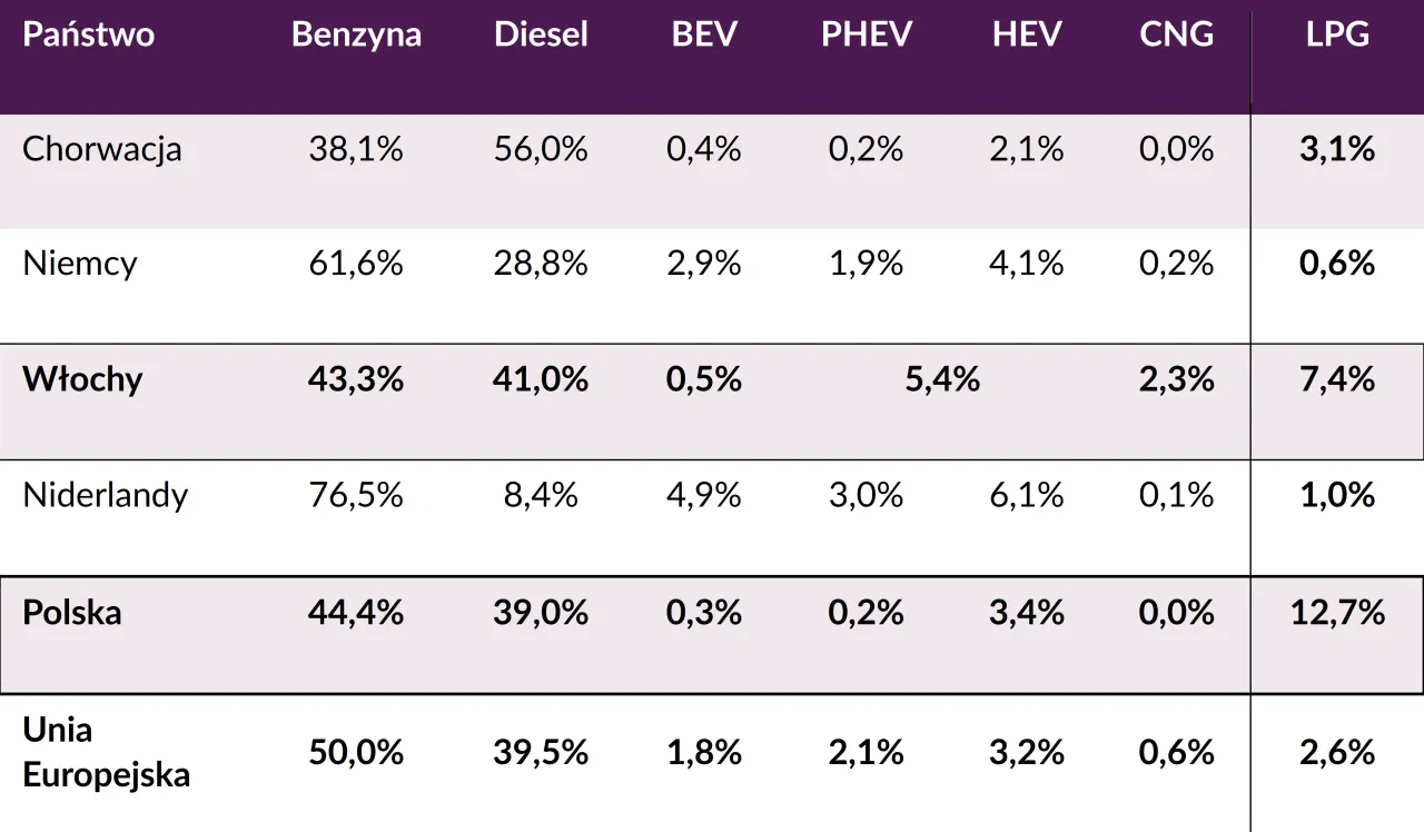 Wykres kołowy składników ceny LPG w Polsce