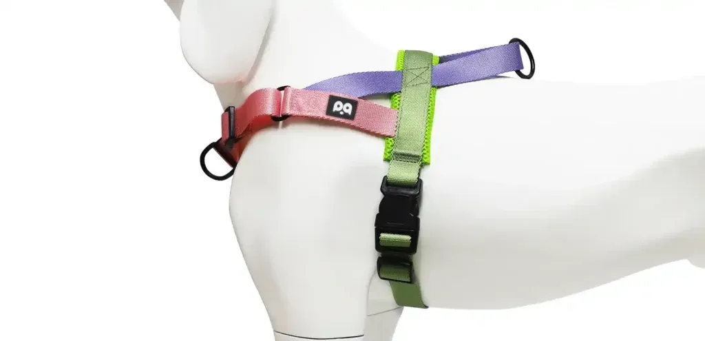 zasada dwóch palców dopasowanie obroży