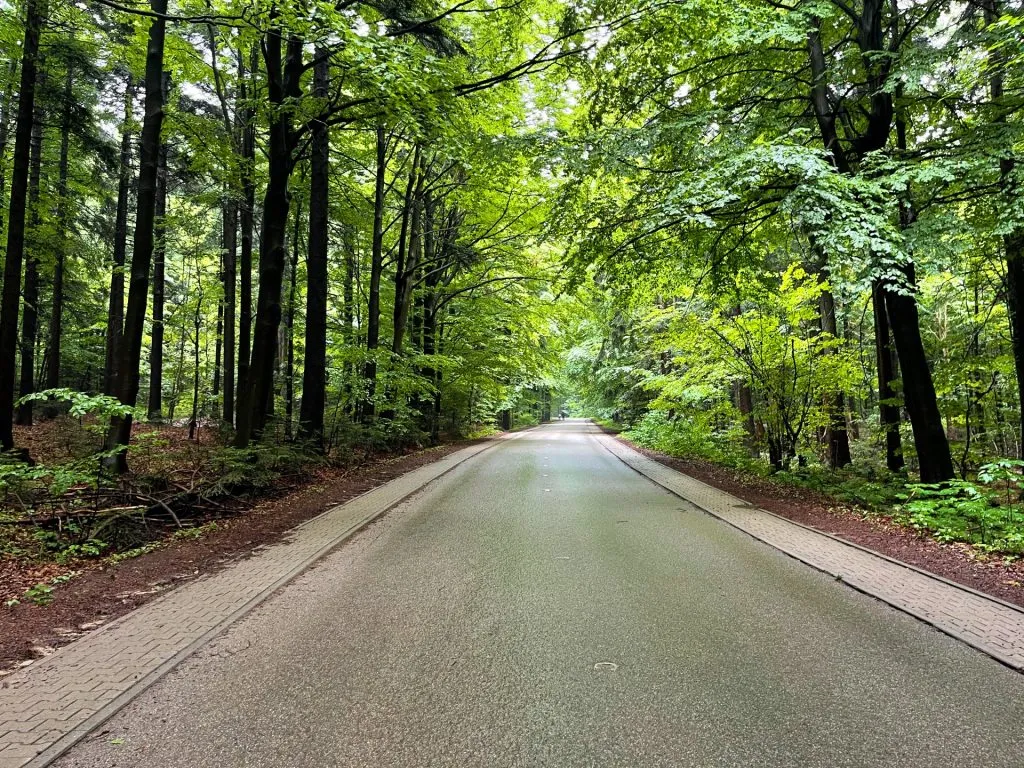 Łysa G&oacute;ra parking Huta Szklana Nowa Słupia