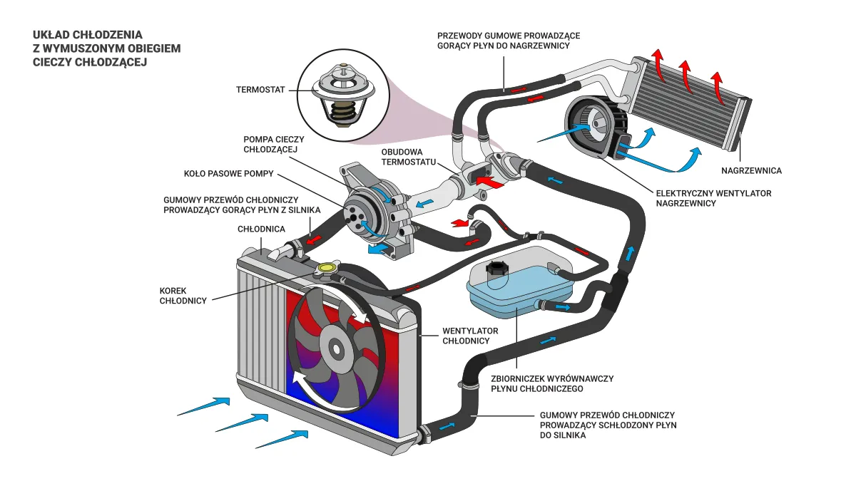 chłodnica samochodowa budowa i zasada działania