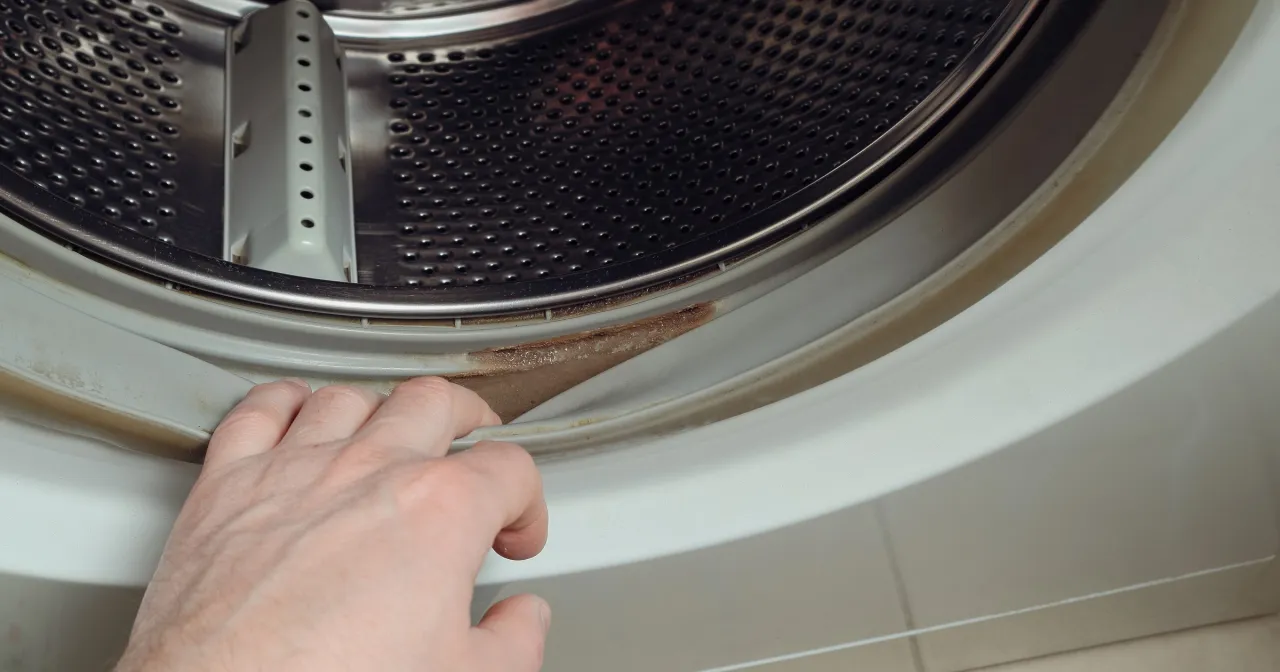 Brudna uszczelka pralki, zastanawiasz się, czy ocet niszczy uszczelki? Widać ślady pleśni i osadu.