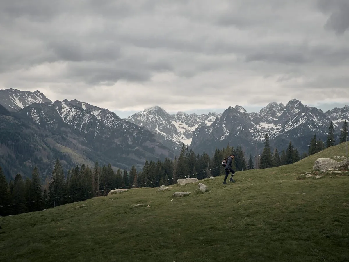 Rusinowa Polana widok na Tatry