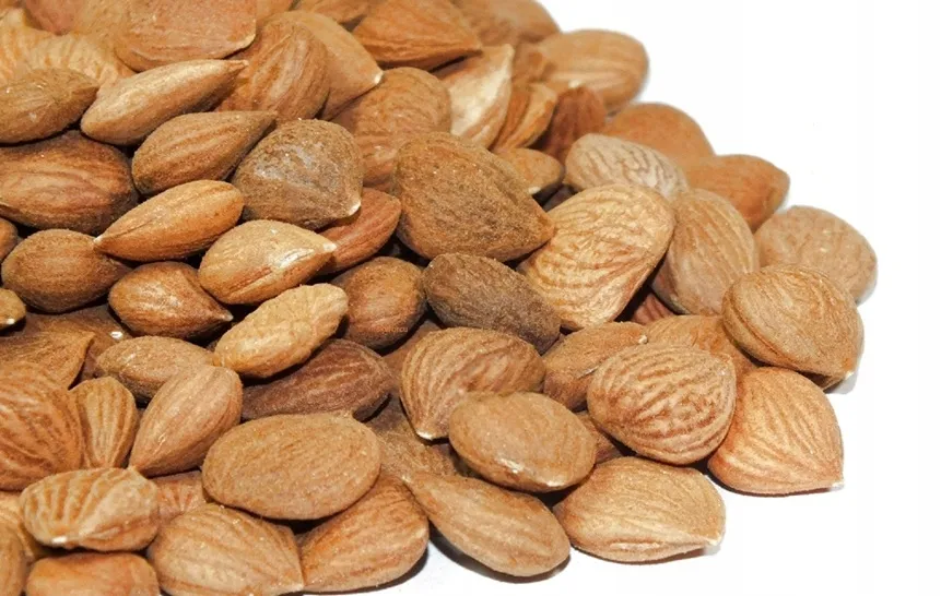 Gorzkie migdały w nalewce