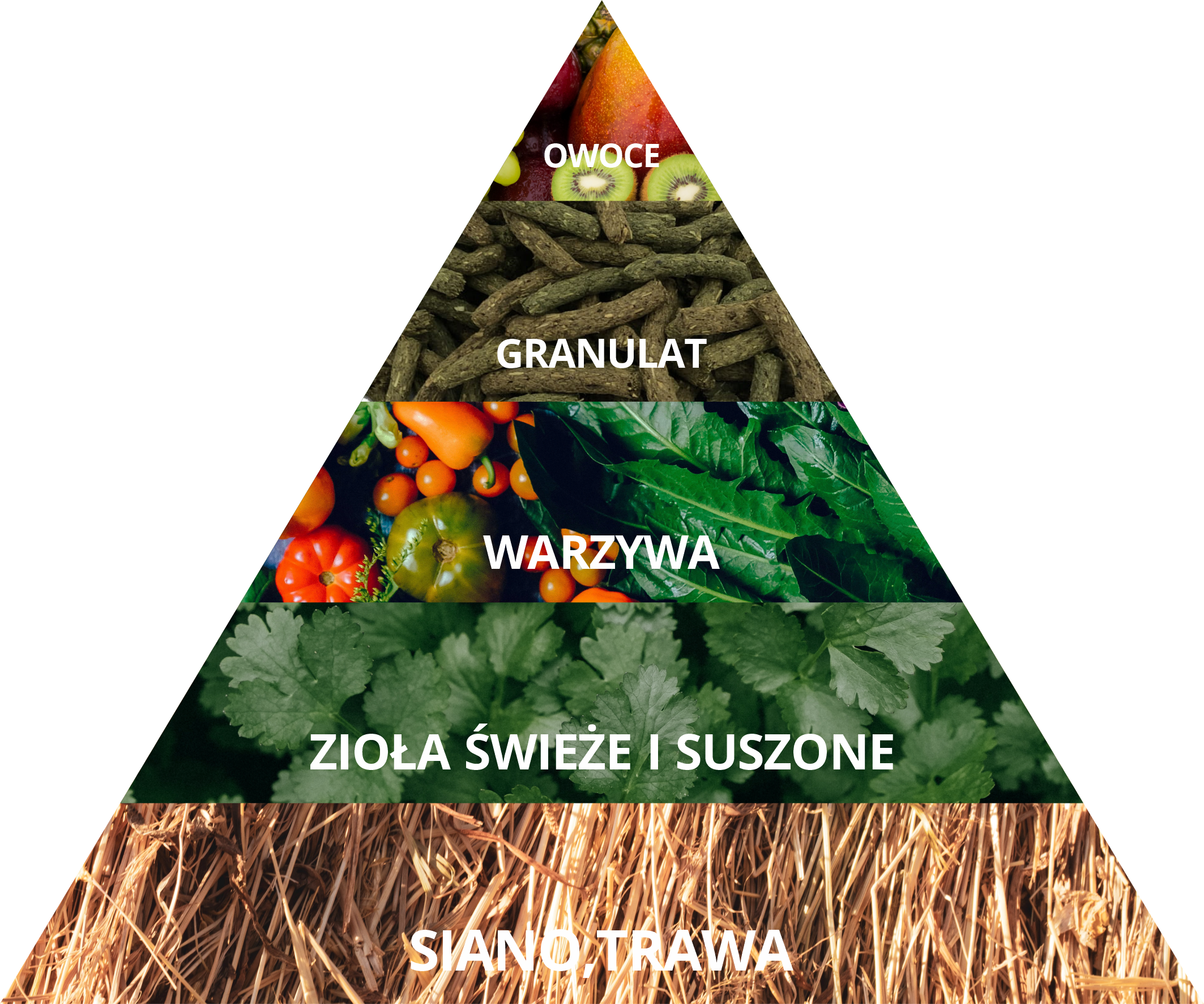 Co je kr&oacute;lik siano karma warzywa