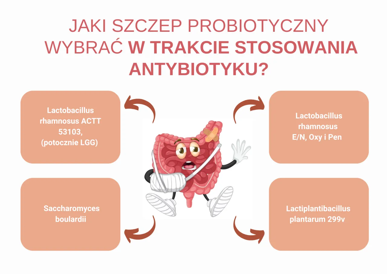 Probiotyki po antybiotykach szczepy LGG Saccharomyces boulardii