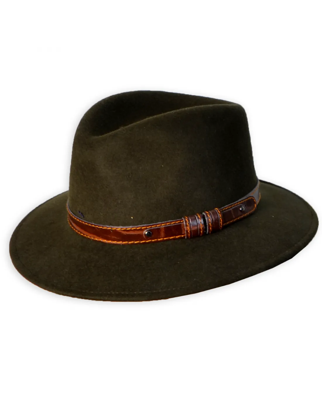 Zdjęcie Sombrero mascota: elige el estilo perfecto para tu peludo amigo