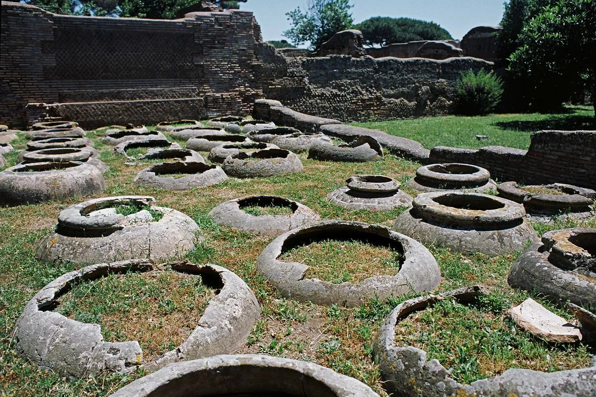 rzymskie winnice amfory