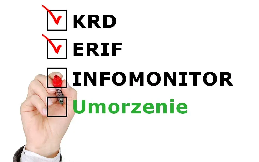 Sprawdzanie firmy w BIG NIP