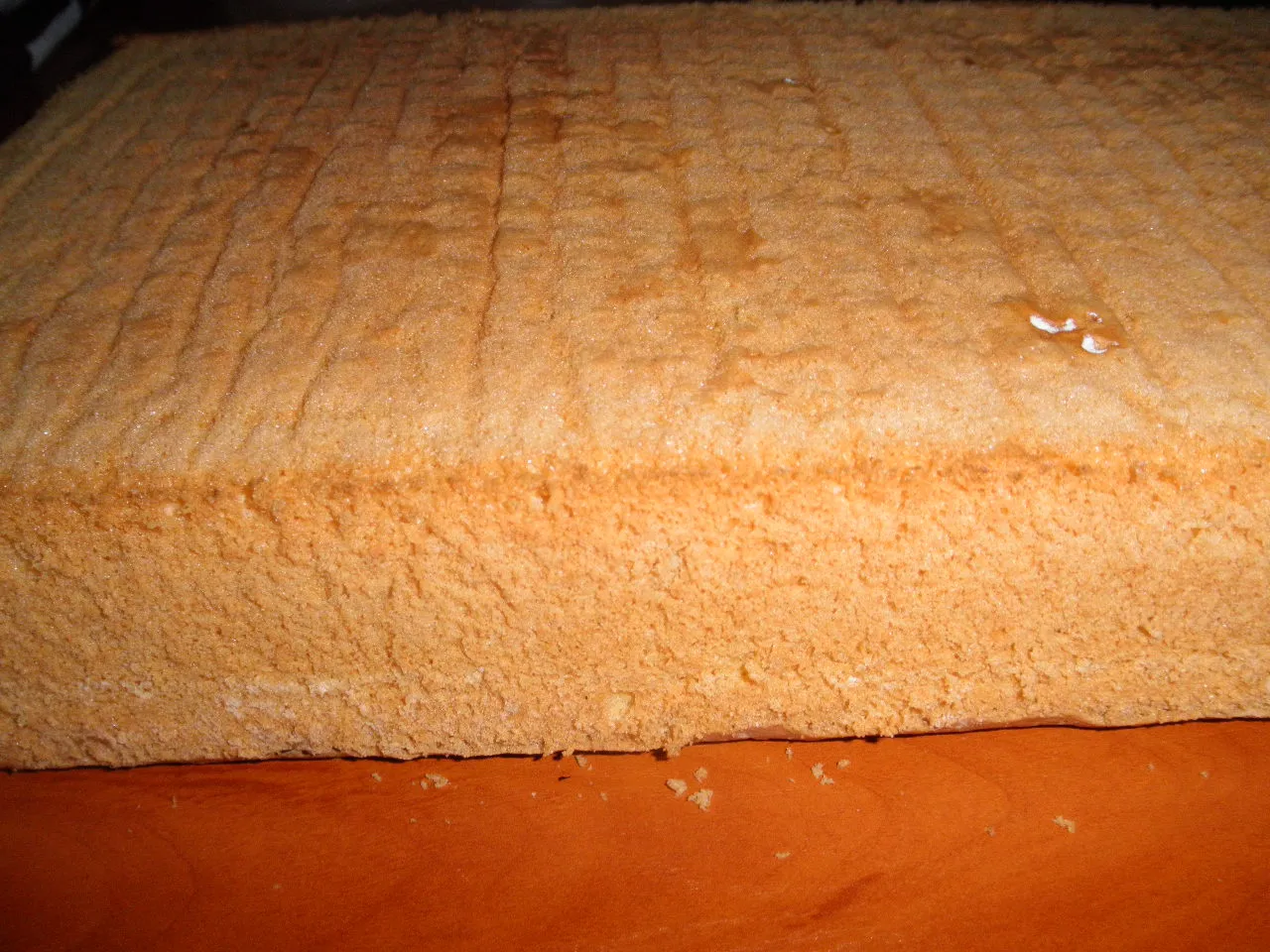 dwa biszkopty w piekarniku termoobieg