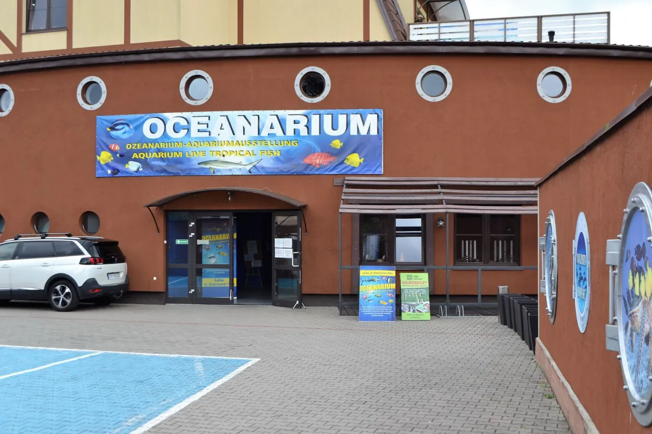 Oceanarium w Łebie wejście lub wnętrze