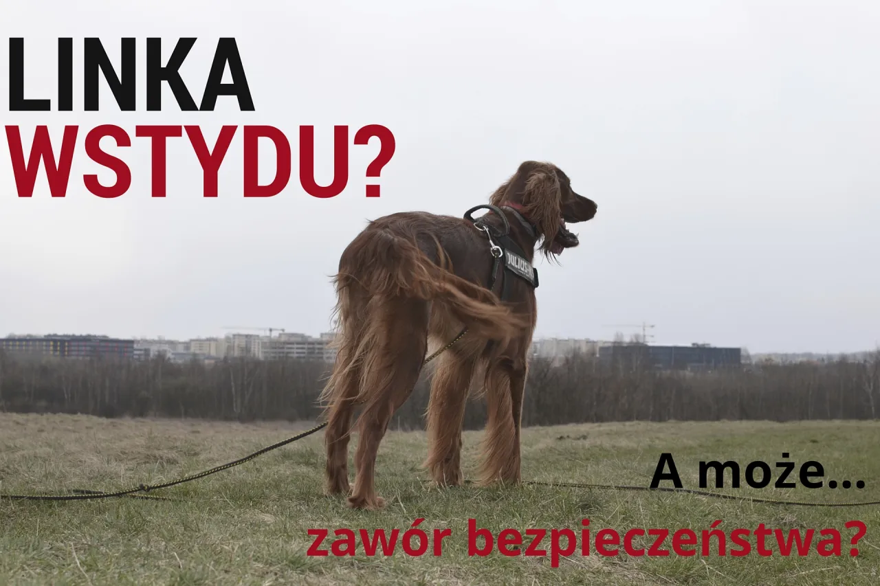 Mężczyzna rzuca smakołyki psu z daleka