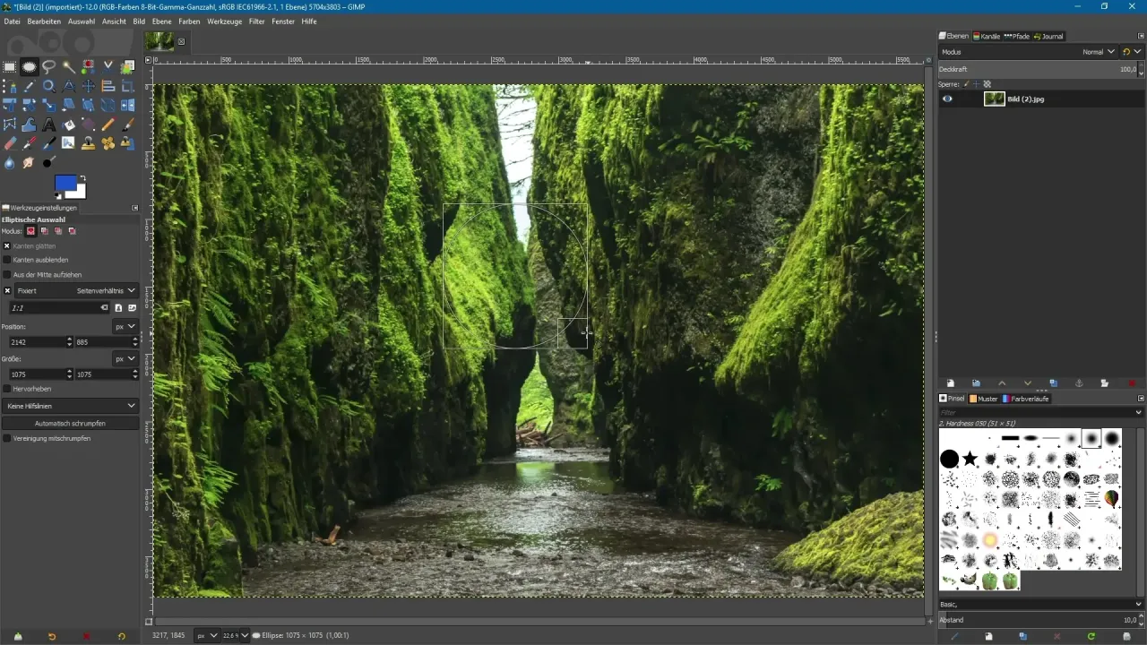 Adobe Express mobile app