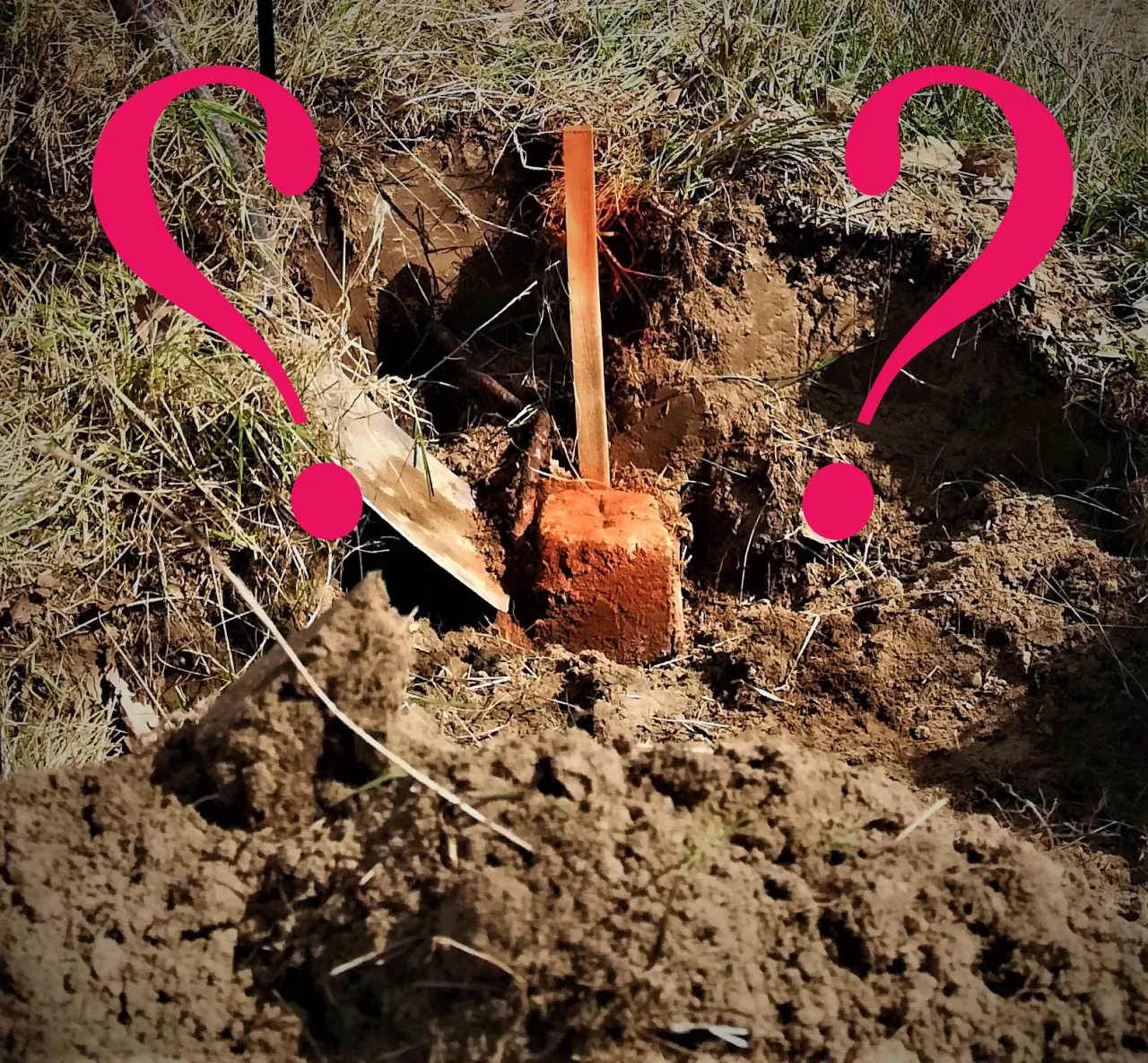 geodeta wyznaczający słupek graniczny, słupek graniczny, oznaczenie granicy działki