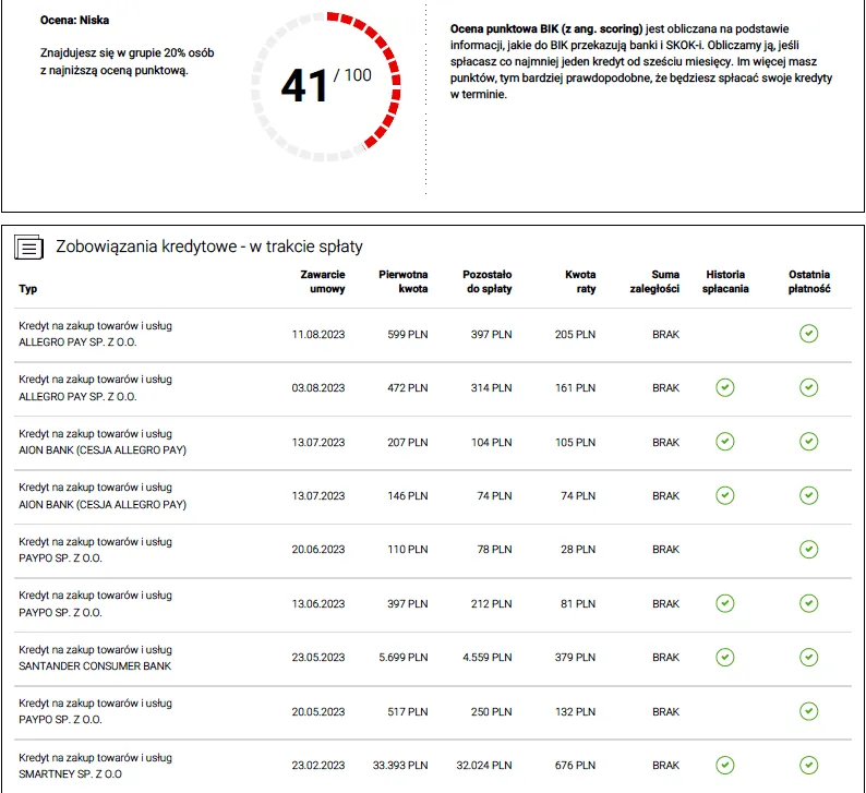 przykładowy Raport BIK fragment z danymi