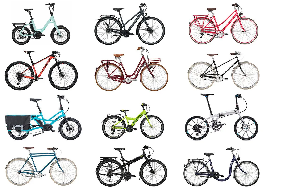 Verschiedene Fahrradtypen nebeneinander (MTB, Trekking, Rennrad)