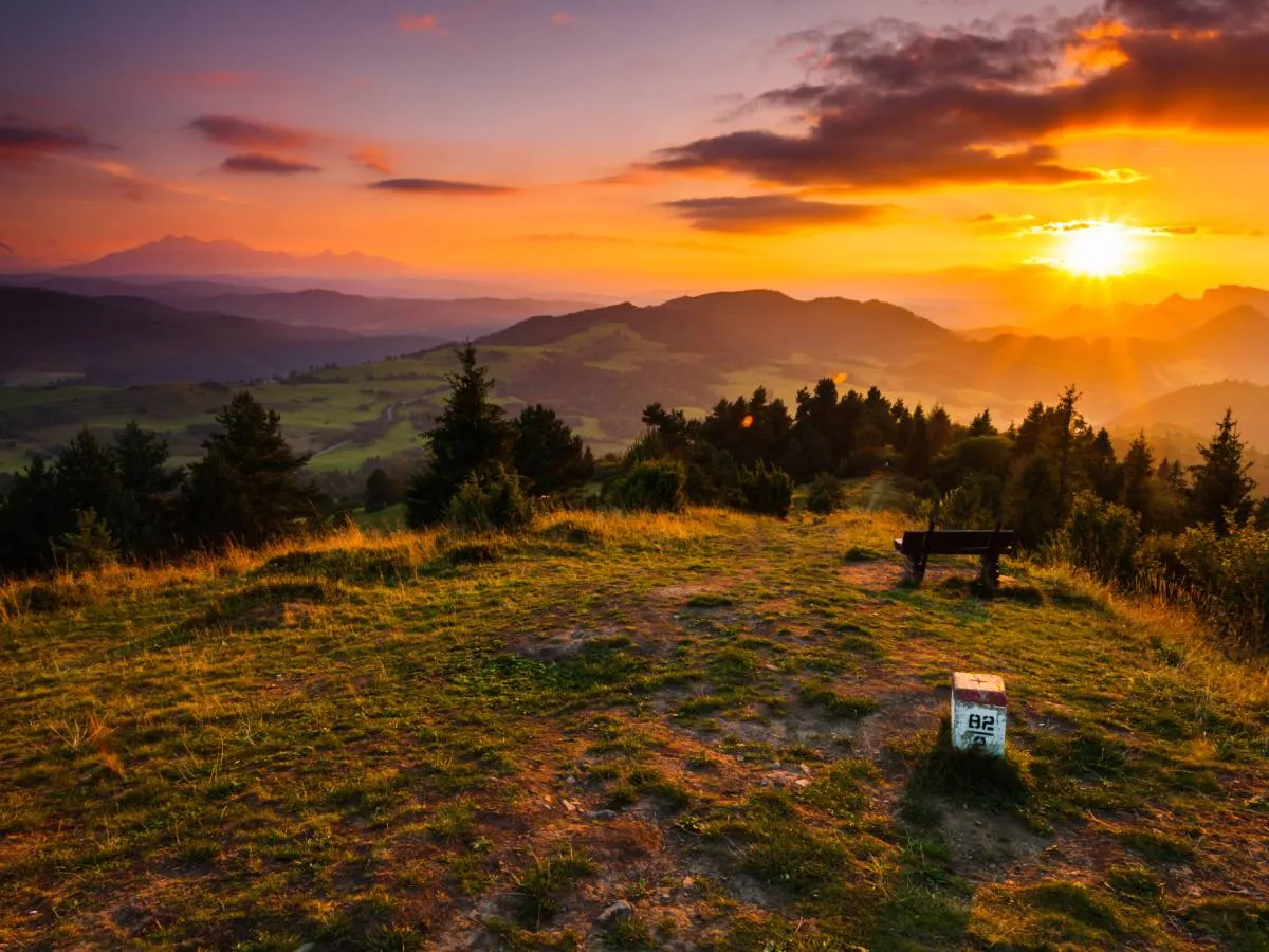 Rusinowa Polana panorama Tatr