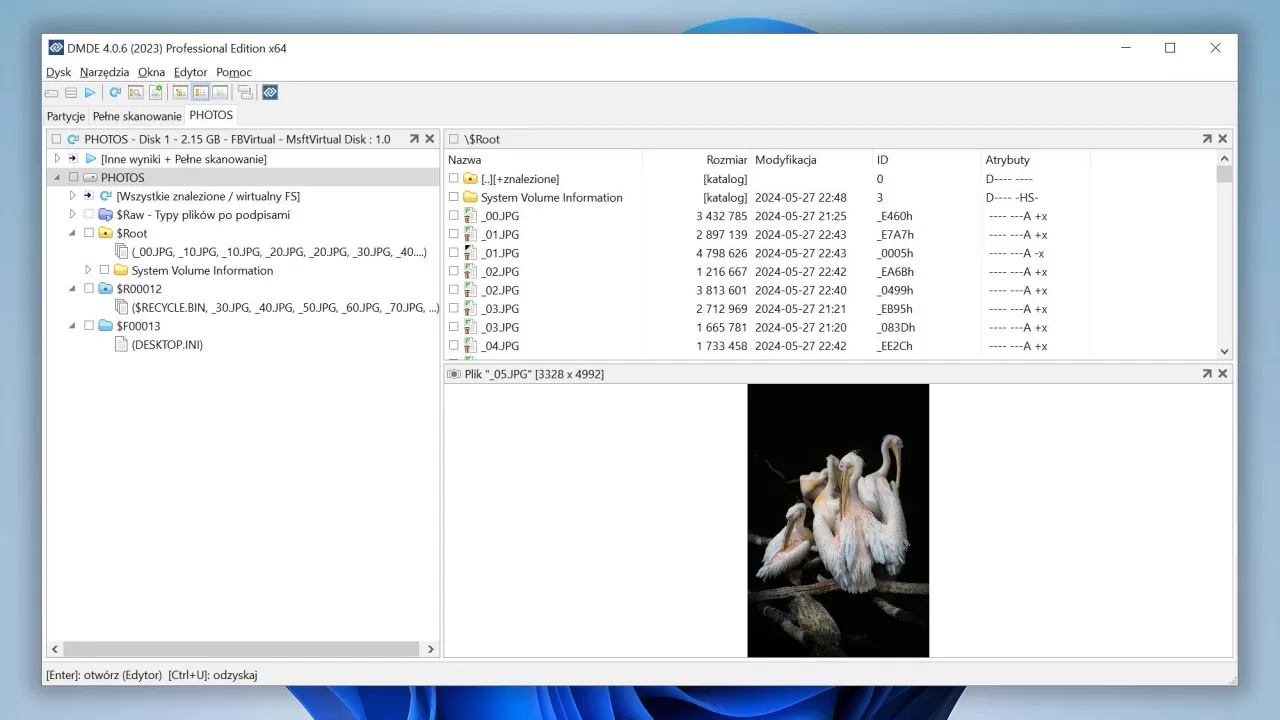 DMDE odzyskiwanie plików interfejs