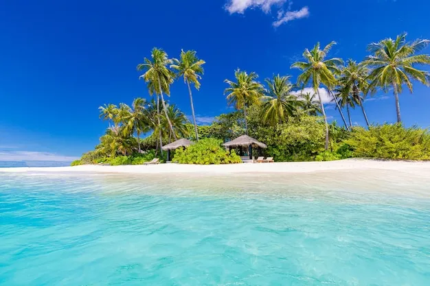 Słoneczne wakacje plaża palmy