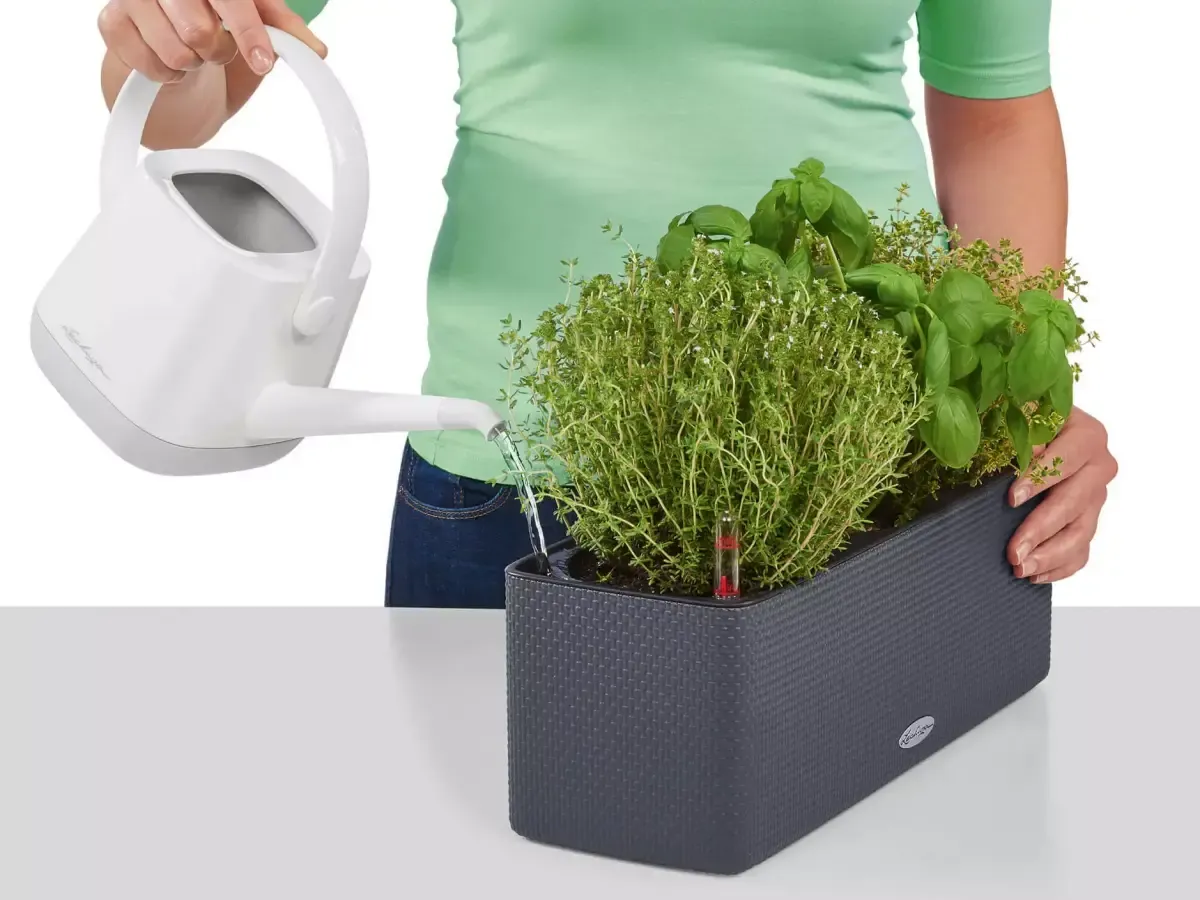 rodzaje doniczek do ziół drenaż