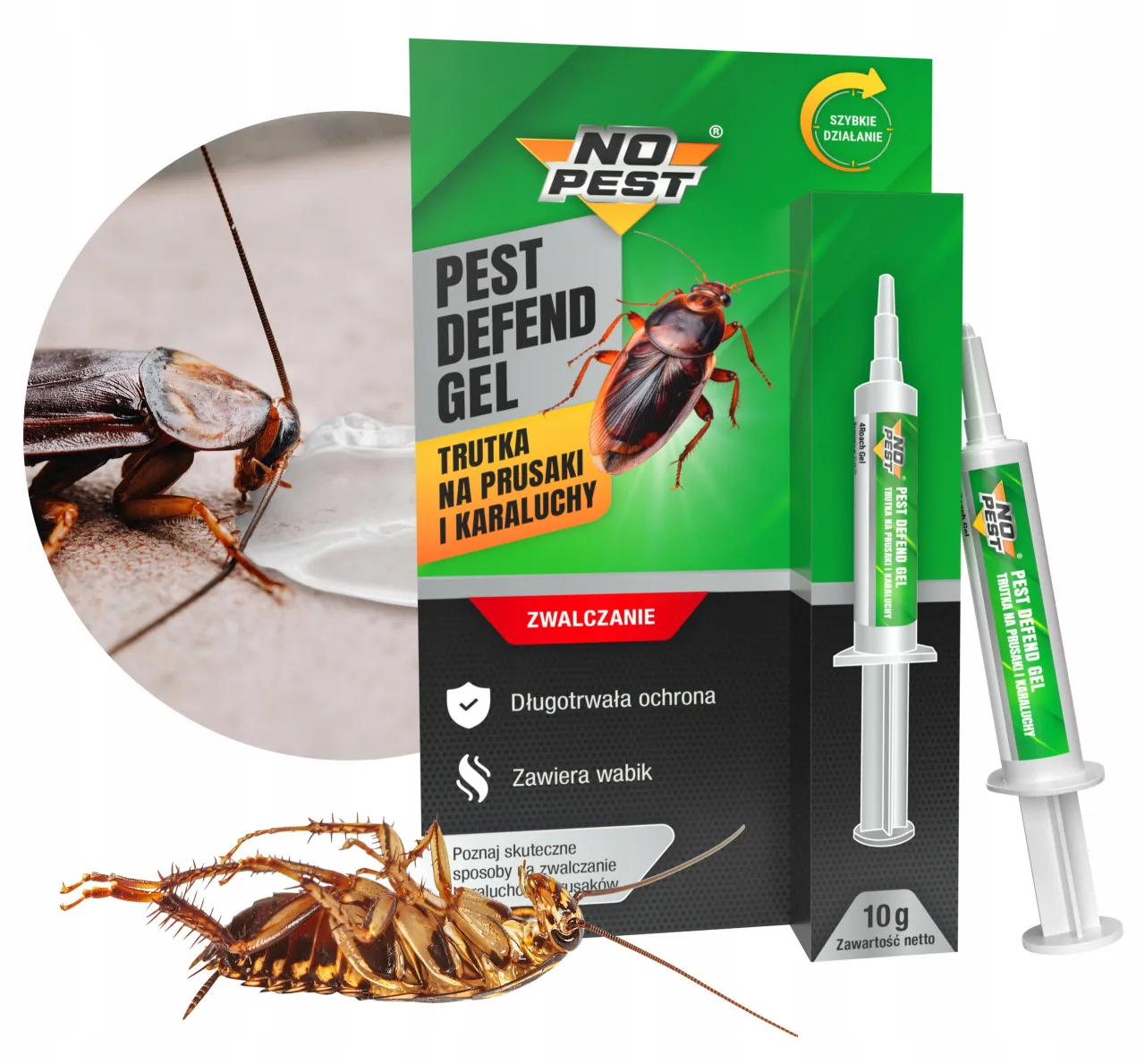 profesjonalna dezynsekcja prusaki żel