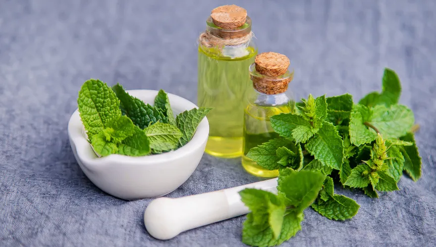 blanszowanie mięty krok po kroku