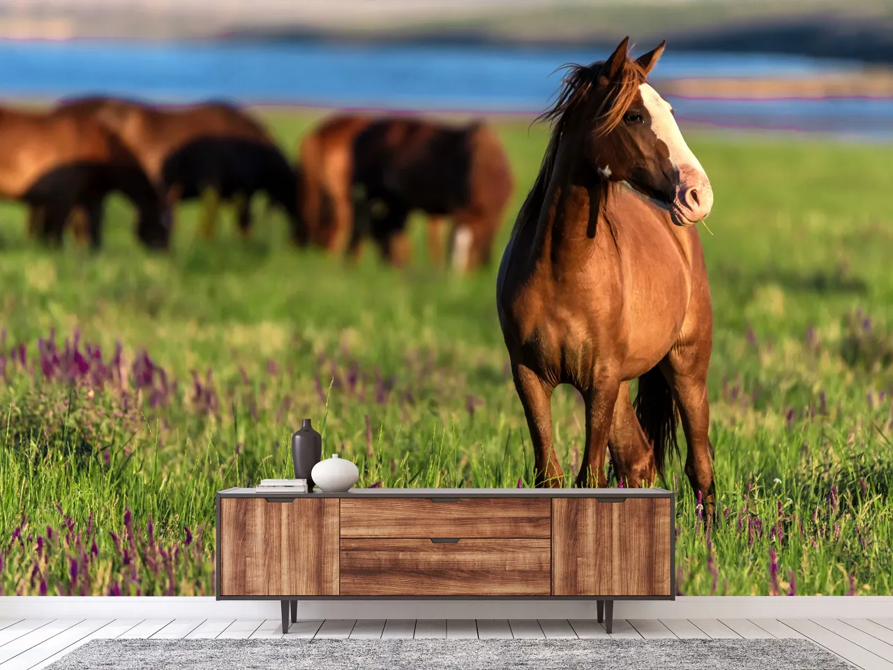 Koń na łące w słońcu