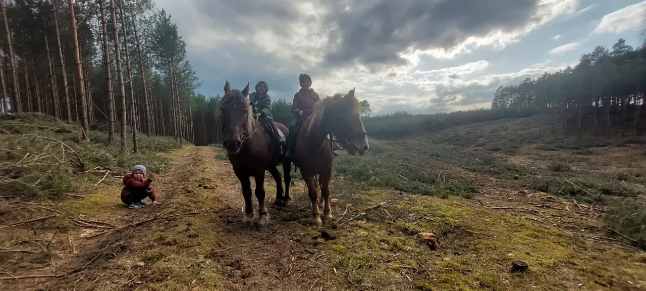 jazda konna kaszuby początkujący