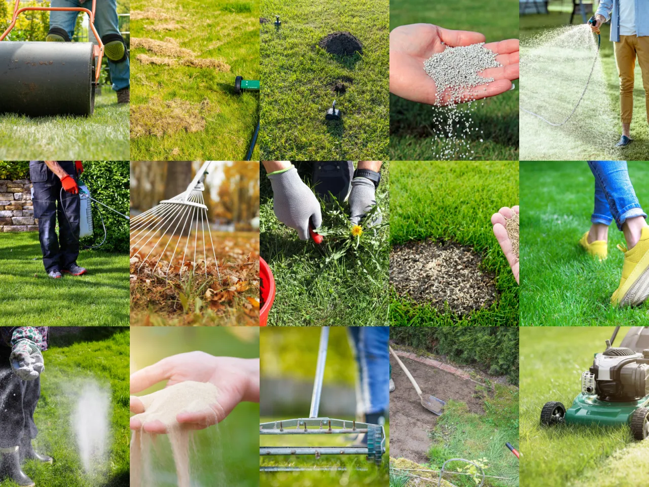 zdrowy trawnik wiosną budzący się do życia