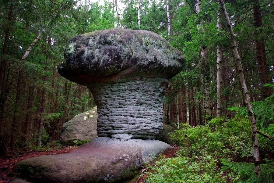 Skalne Grzyby G&oacute;ry Stołowe