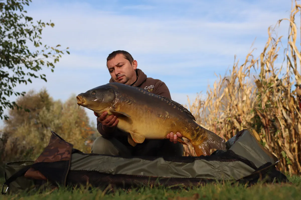 Wędkarz trzyma ogromnego karpia, kt&oacute;ry m&oacute;gł skusić się na przynętę z kwasem masłowym.