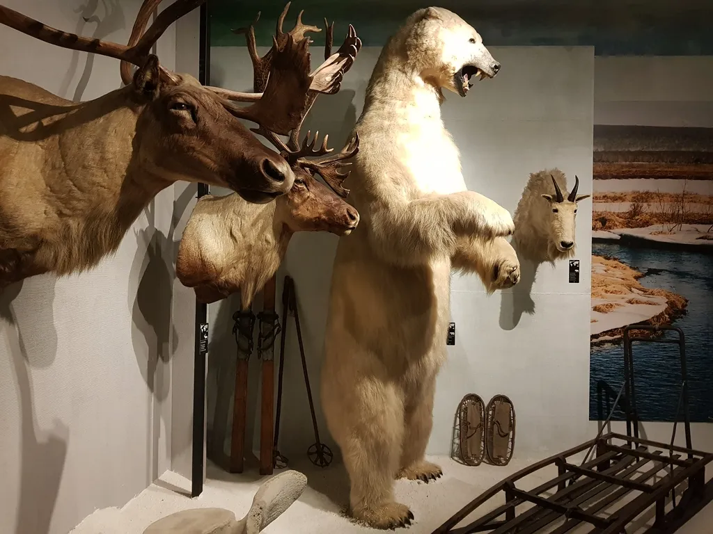 Dioramy Muzeum Łowiectwa i Jeździectwa