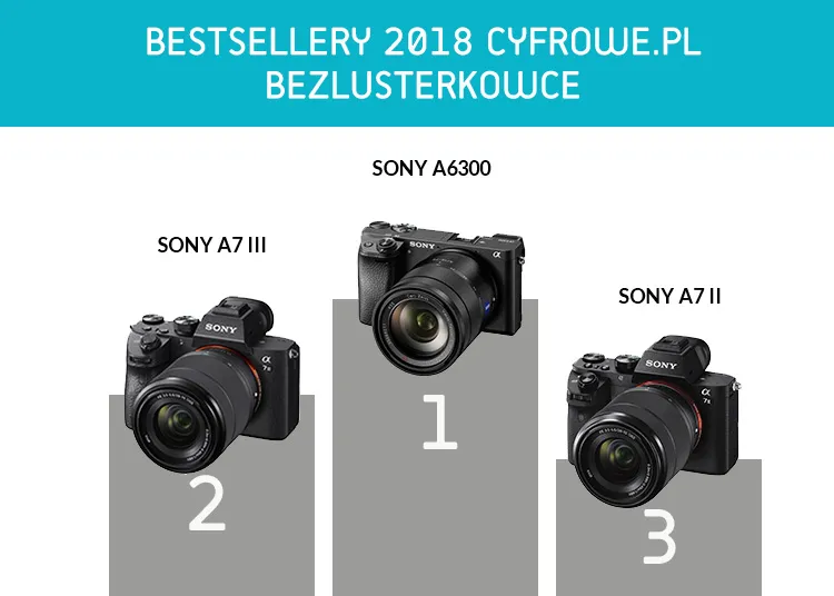 por&oacute;wnanie aparat&oacute;w kompaktowych, bezlusterkowc&oacute;w i lustrzanek