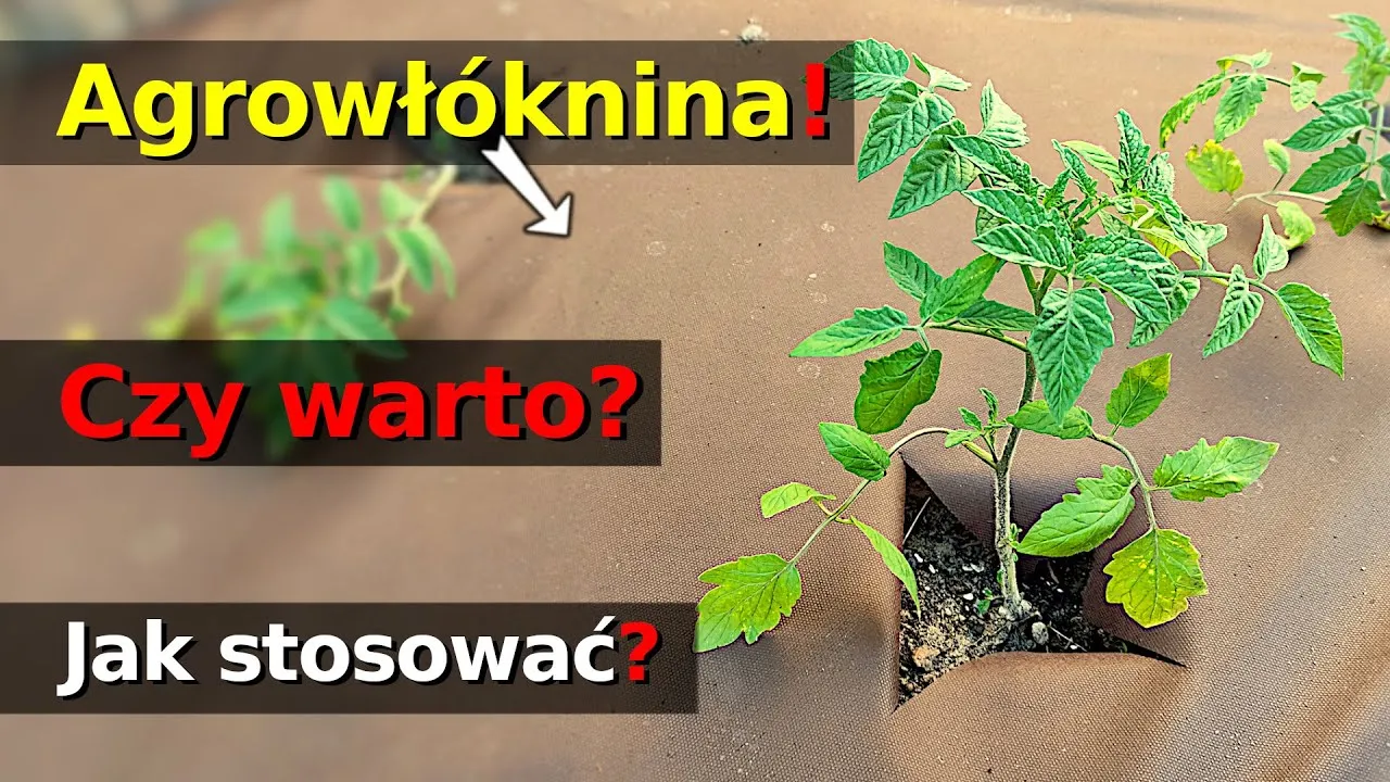Zdjęcie Jak prawidłowo wyrzucić agrowłókninę? Poradnik segregacji