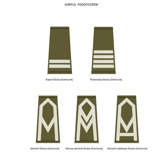 Dystynkcje Straży Granicznej tabela