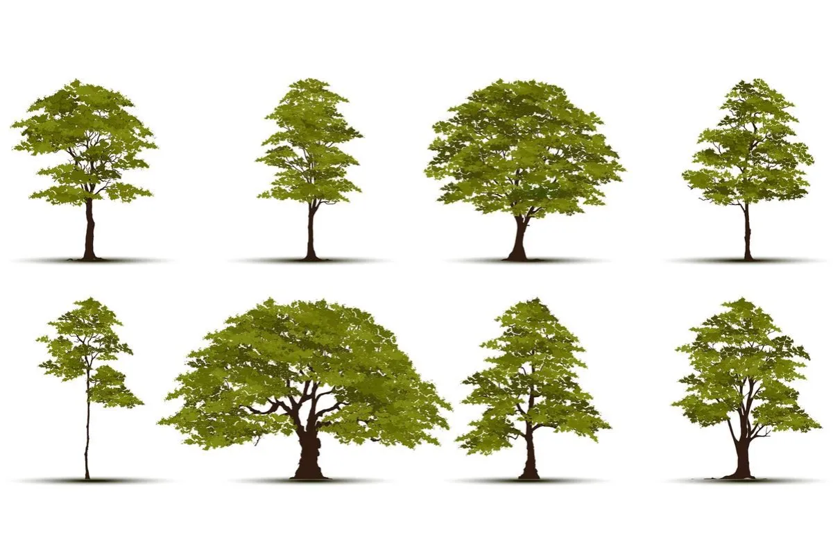 r&oacute;żne gatunki drzew na osiedlu