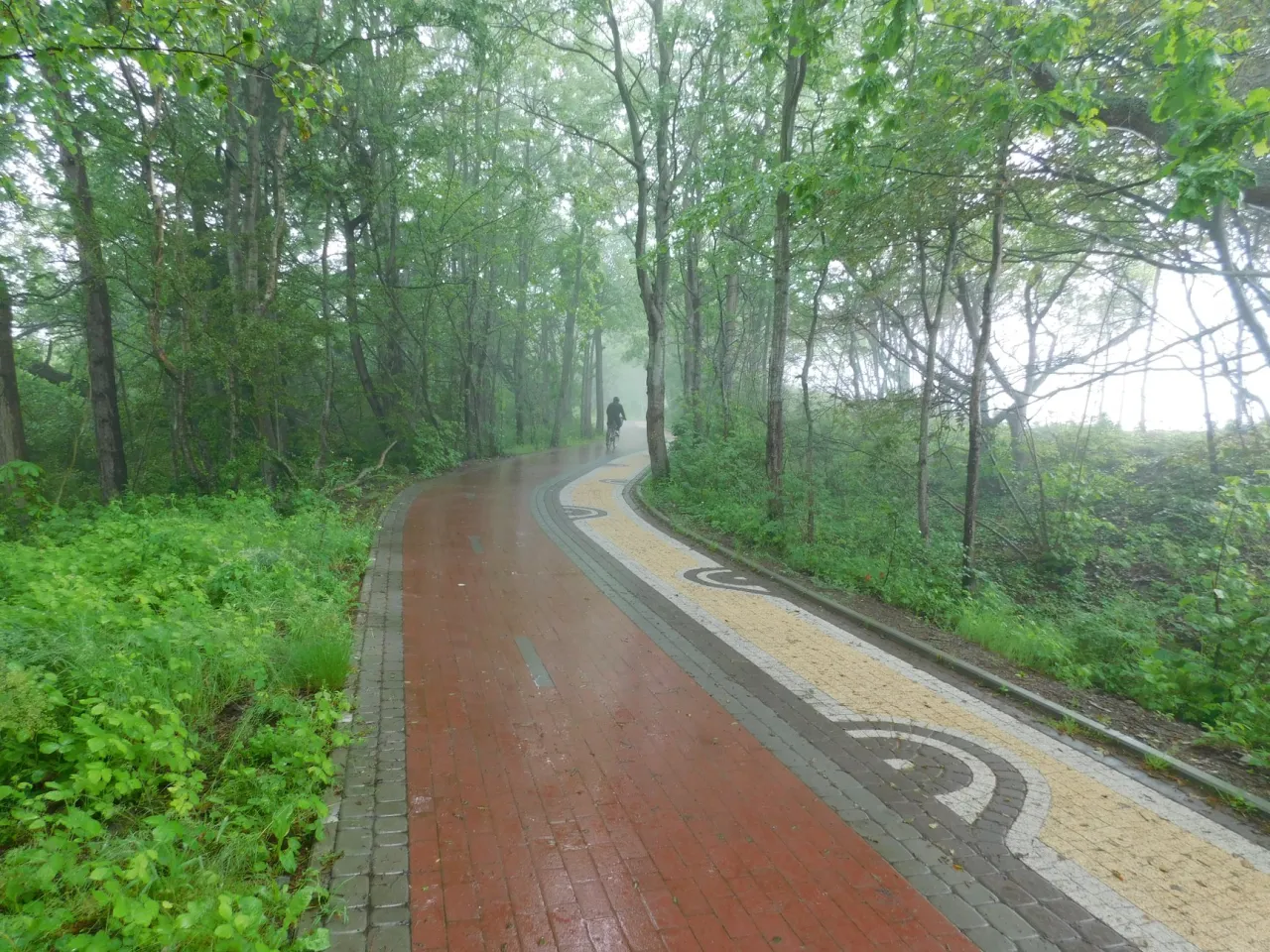 Ekopark Wschodni Kołobrzeg Solne Bagno