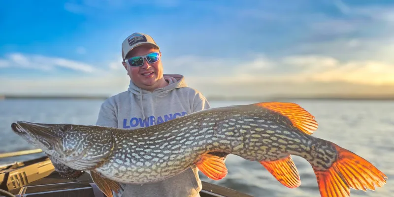 Duży szczupak złowiony na spinning w Polsce