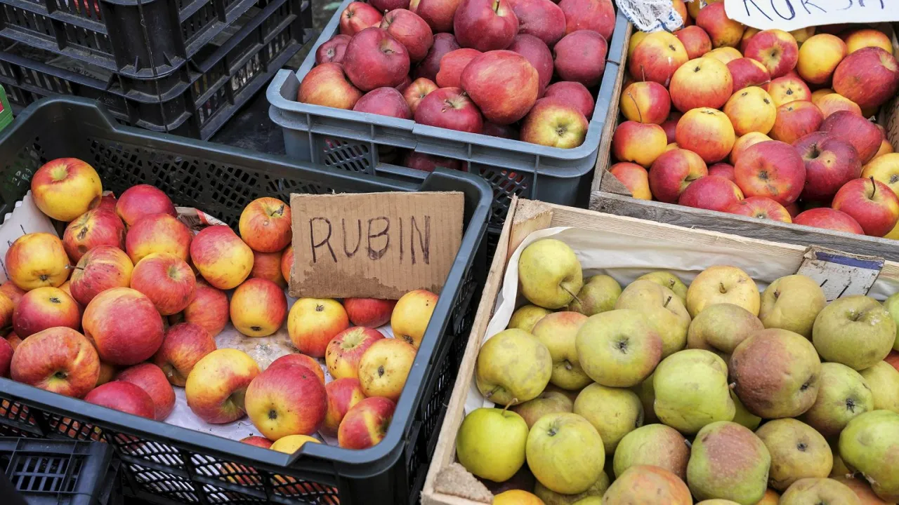 Jakie jabłka do szarlotki odmiany
