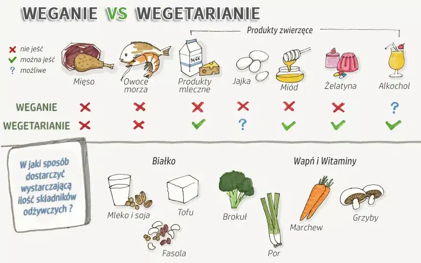 r&oacute;żnice dieta wegetariańska wegańska infografika
