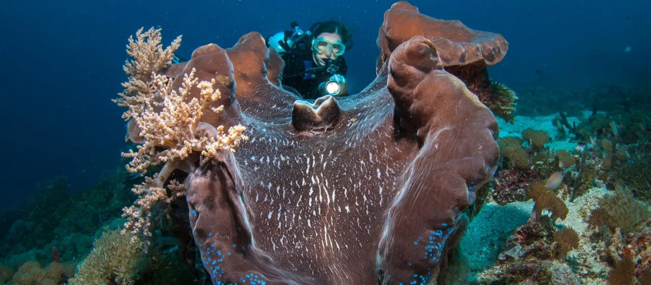 Nurkowanie Raja Ampat