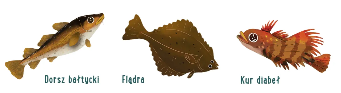 r&oacute;żne gatunki wędzonych ryb bałtyckich