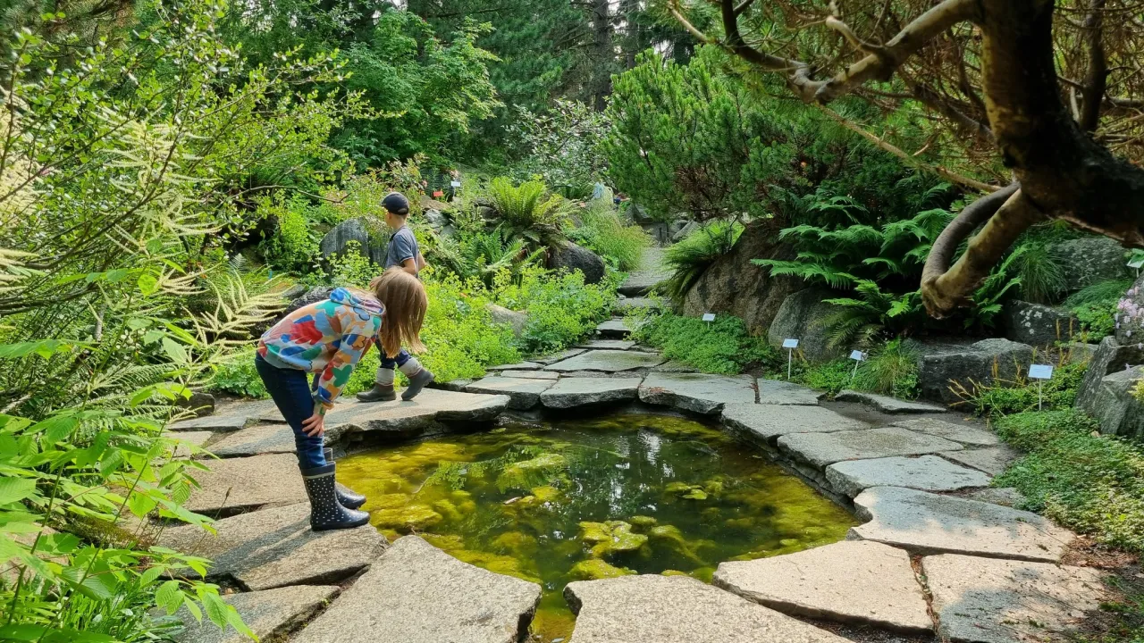 Piknik w Ogrodzie Botanicznym Poznań