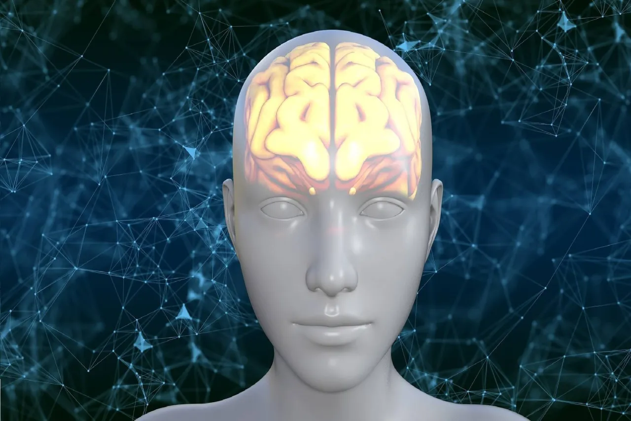 Neuroplastyczność mózgu wizualizacja