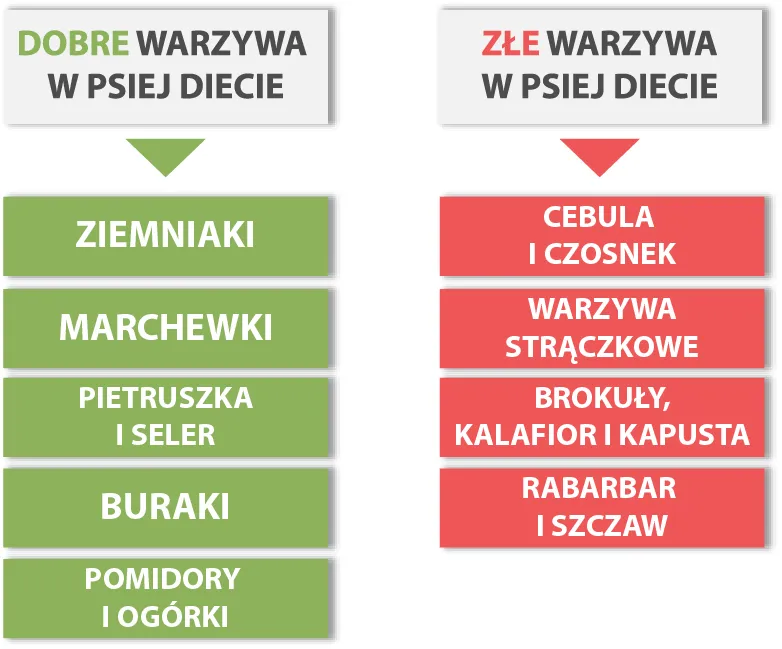 Zdjęcie Jakie warzywa dla psa z chorą trzustką mogą mu zaszkodzić?