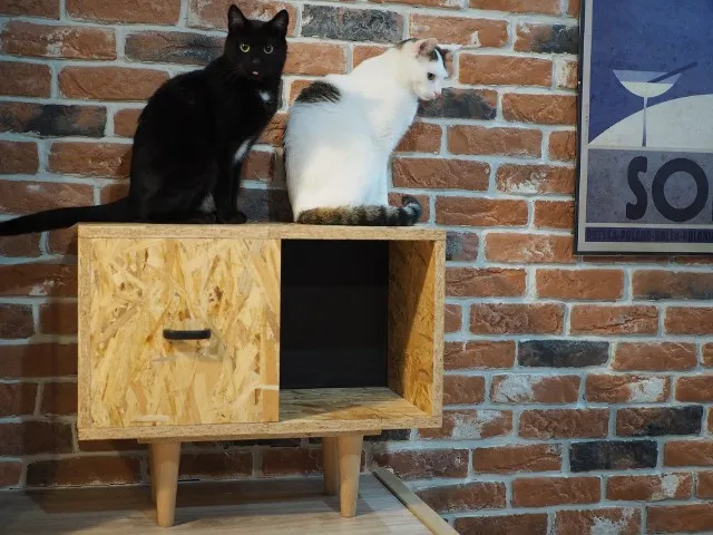 Zdjęcie Meble z OSB DIY: Zrób sam przewodnik krok po kroku