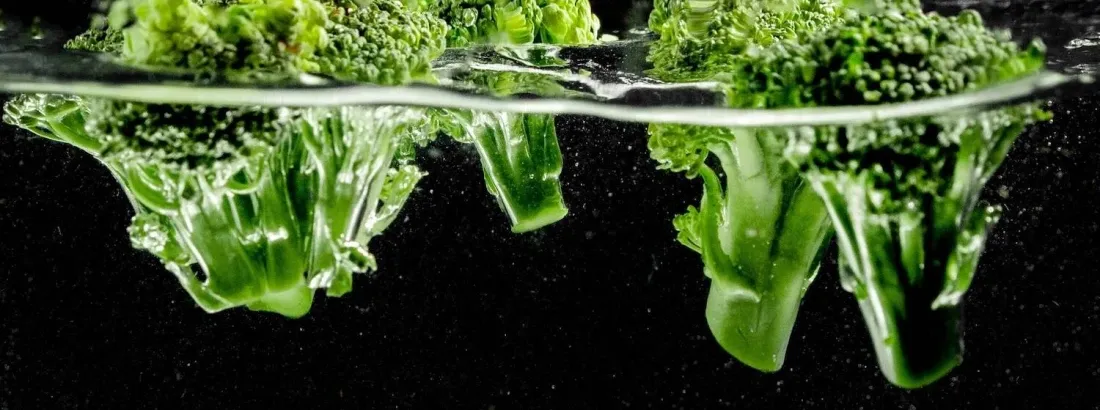 brokuł al dente i brokuł rozgotowany por&oacute;wnanie